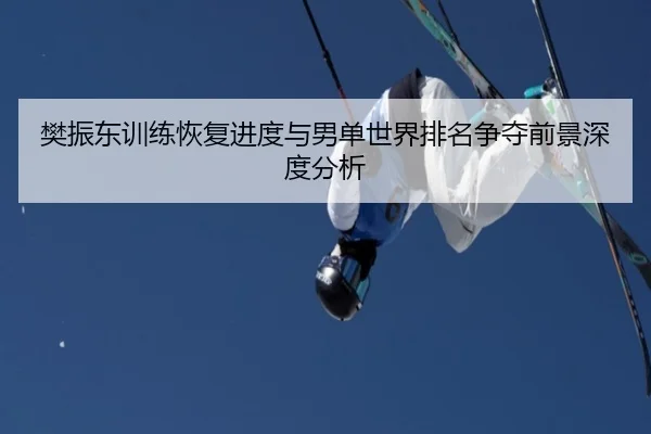 樊振东训练恢复进度与男单世界排名争夺前景深度分析